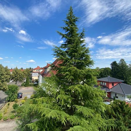 Simply Nice Appartment Borna Esterno foto