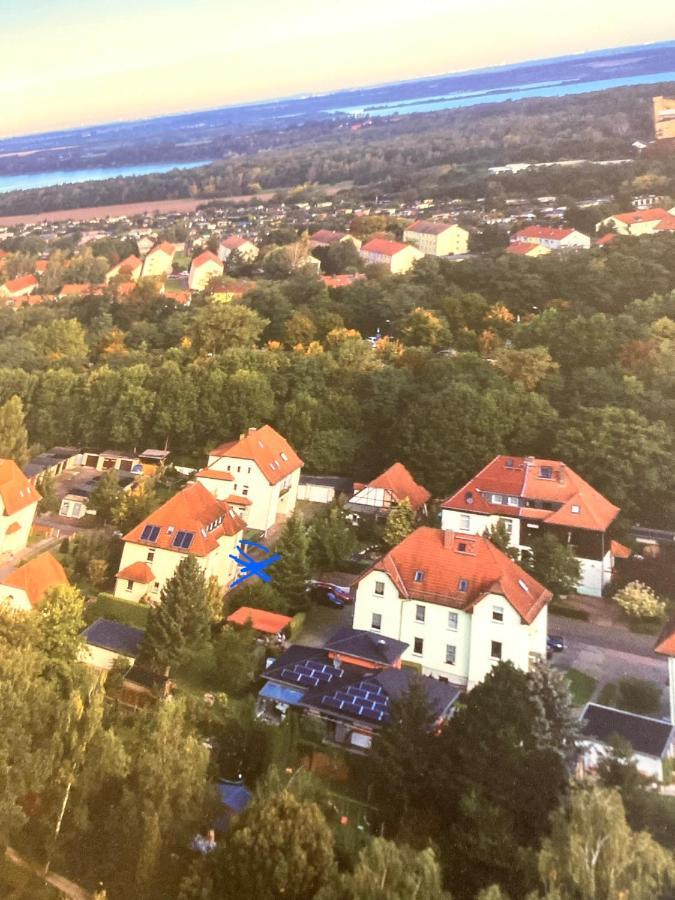 Simply Nice Appartment Borna Esterno foto