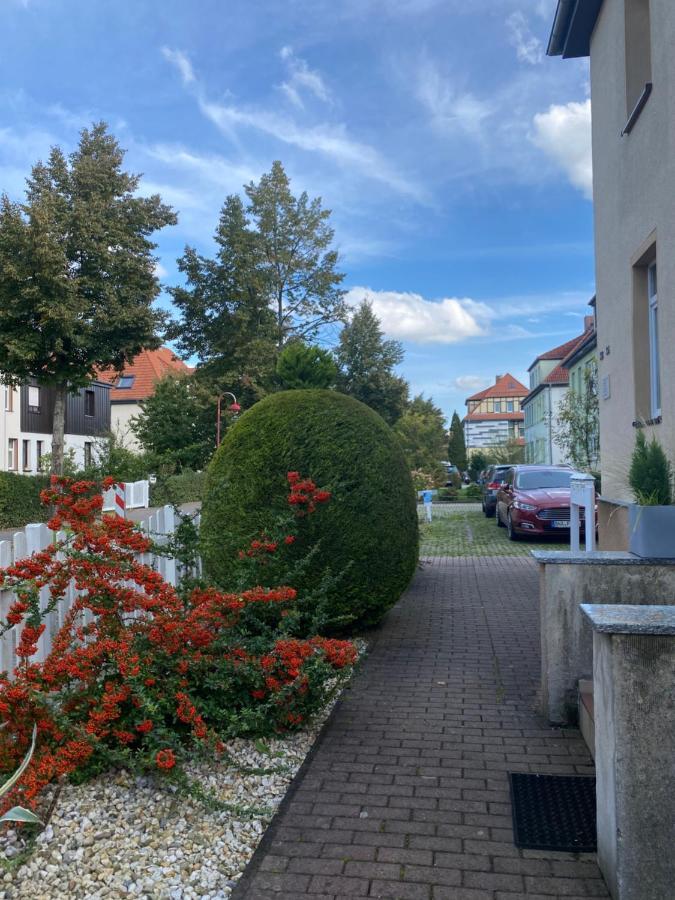 Simply Nice Appartment Borna Esterno foto