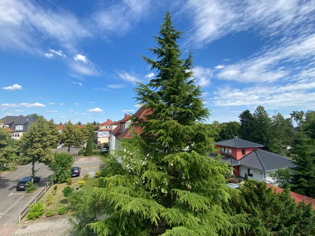 Simply Nice Appartment Borna Esterno foto